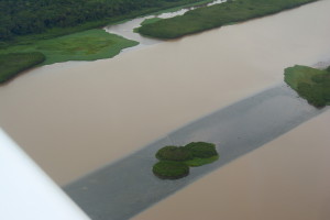 Amazonia4