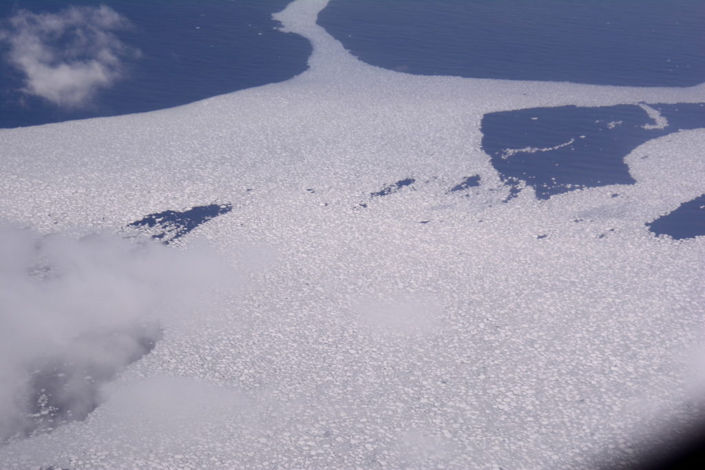 Svalbard ice